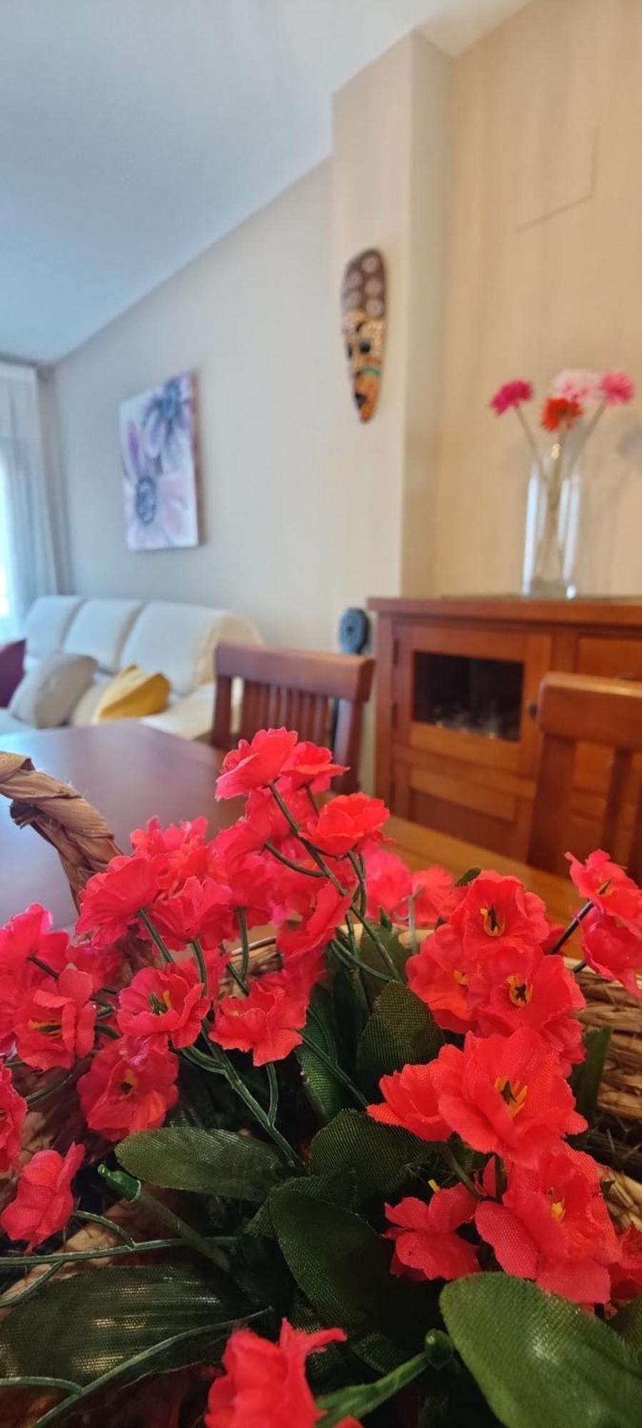 Appartamento Ca L'Esmolet Tremp Esterno foto