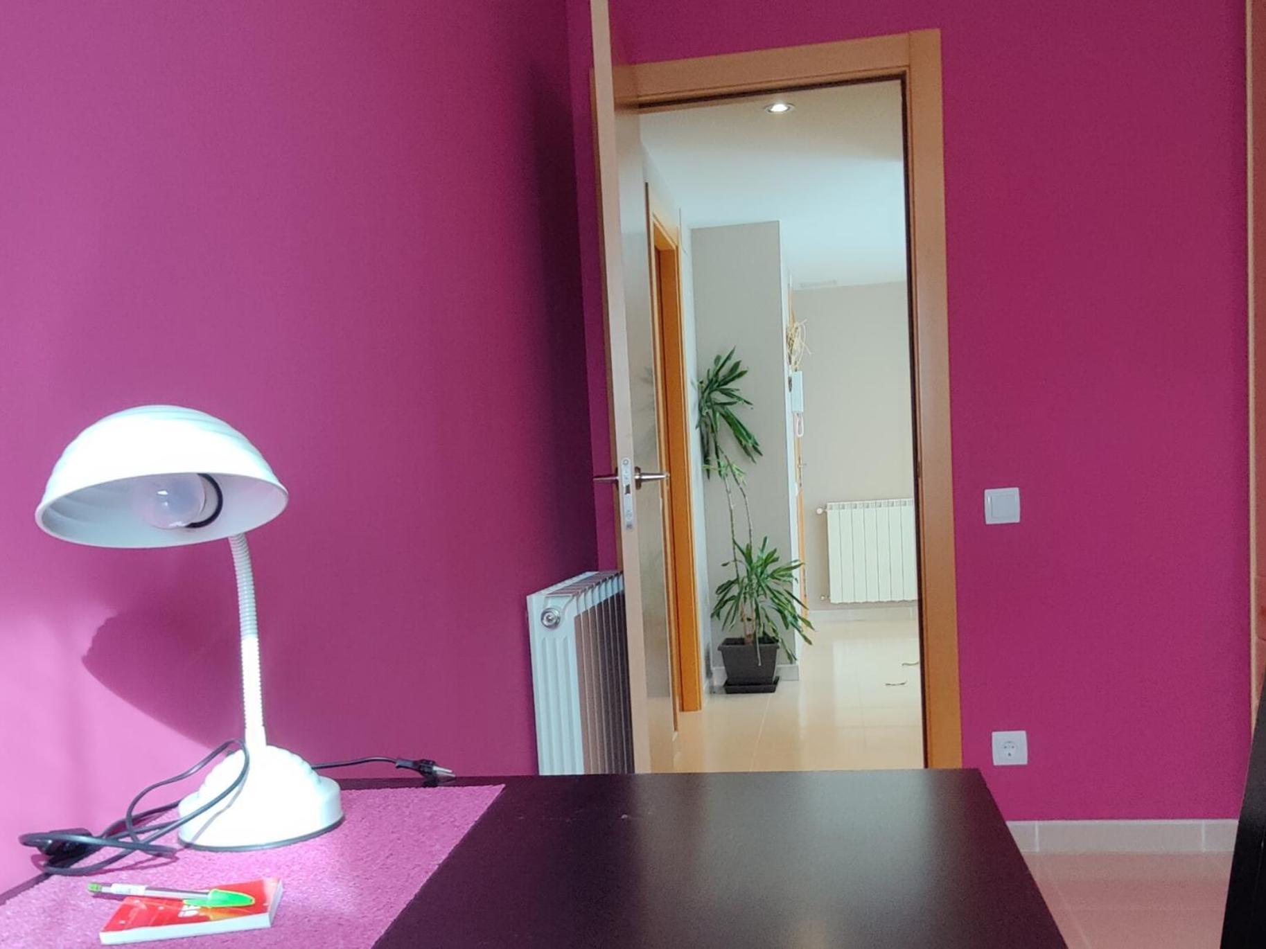 Appartamento Ca L'Esmolet Tremp Esterno foto